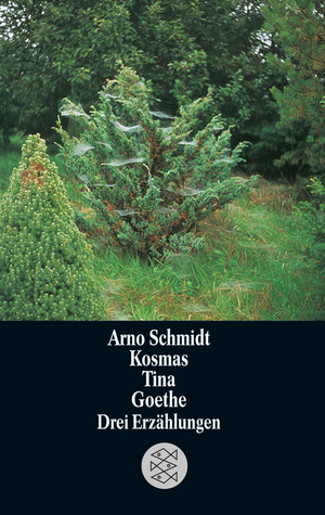 Kosmas / Tina / Goethe – Drei Erzählungen (Paperback)