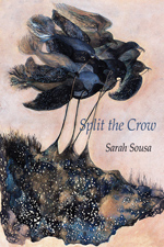 Split the Crow (Paperback)