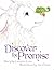 Discover the Promise (The LovEwe Stories, #1)