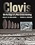 Clovis: On the Edge of a New Understanding