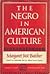 The Negro in American Culture