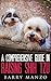 A Comprehensive Guide in Raising Shih Tzu