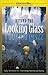 Beyond the Looking Glass