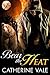 Bear The Heat by Catherine Vale