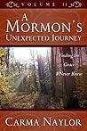 A Mormon's Unexpected Journey: Finding The Grace I Never Knew (Mormonism to Grace Book 2)