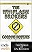 The Whiplash Brokers