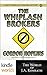 The Whiplash Brokers by Gordon Hopkins