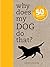 Why Does My Dog Do That? by Sophie Collins Why Does My Dog Do That? by Sophie Collins