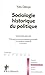 Sociologie historique du politique