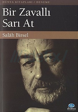 Bir Zavallı Sarı At (Paperback)