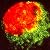 Genes and Disease - The Dig...