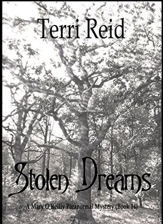 Stolen Dreams (Mary O’Reilly #14)