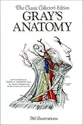 Gray's Anatomy
