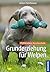 Grunderziehung für Welpen: Fichtlmeiers Hundeschule (German Edition)