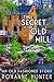 The Secret of the Old Mill: An Old Fashioned Story