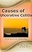 Causes of Ulcerative Colitis: Find the Cause of Your Ulcerative Colitis (UC Series Book 2)