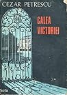 Calea Victoriei by Cezar Petrescu