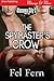 The Spymaster's Crow (Stocoma City, #2)