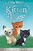 Holly Webb's Kitten Tales: Sky the Unwanted Kitten / Ginger the Stray Kitten / Misty the Abandoned Kitten
