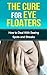 THE CURE FOR EYE FLOATERS: ...