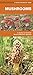 Mushrooms: A Folding Pocket Guide to Familiar North American Species (A Pocket Naturalist Guide)