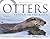 Otters: Return to the River