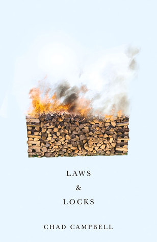 Laws & Locks (Paperback)