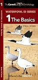 Cornell Lab of Ornithology Waterfowl ID Series: 1 The Basics: Cornell Lab of Ornithology Bird ID Series (Nature Observation North America)