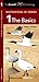 Cornell Lab of Ornithology Waterfowl ID Series: 1 The Basics (Nature Observation North America)