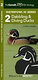 Cornell Lab of Ornithology Waterfowl ID Series: 2 Dabbling & Diving Ducks: Cornell Lab of Ornithology Bird ID Series (Nature Observation North America)