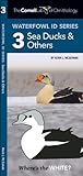Cornell Lab of Ornithology Waterfowl ID Series: 3 Sea Ducks & Others (Nature Observation North America)
