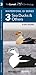 Cornell Lab of Ornithology Waterfowl ID Series: 3 Sea Ducks & Others (Nature Observation North America)