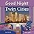 Good Night Twin Cities (Good Night Our World)