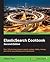 ElasticSearch Cookbook