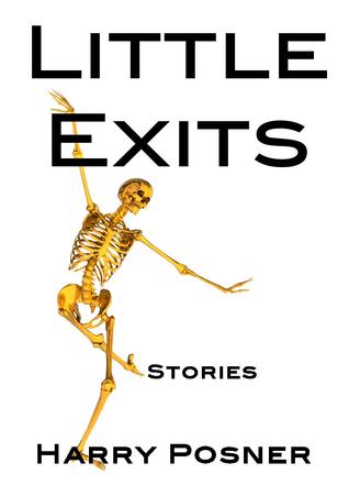 Little Exits (Paperback)