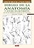 DIBUJO DE LA ANATOMÍA Y ESTUDIO DEL MOVIMIENTO (Spanish Edition)