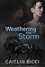 Weathering the Storm (Robbie & Sam, #1)
