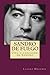 SANDRO DE FUEGO: Vida y canciones de Sandro (Biodramas de famosos nº 5) (Spanish Edition)