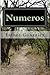 Numeros (La Biblia Explicado Verso por Verso nº 4) by Esther Gonzalez