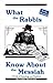 What the Rabbis Know about the Messiah