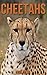 Cheetahs by Ina Felix