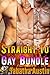 Straight to Gay Bundle