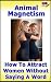 Animal Magnetism: How to At...