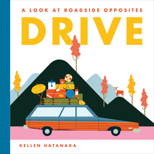 Drive: A Look at Roadside Opposites (Hardcover)
