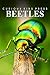 Beetles - Curious Kids Press: Kids book about animals and wildlife, Children's books 4-6