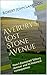 Avebury's Lost Stone Avenue: How I discovered 'Silbury Avenue' and its historical consequences