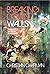 Breaking Down Walls by Christian Chapman