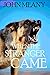 When The Stranger Came