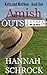 Amish Outsider (Katie and Matthew #1)