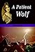 A Patient Wolf: A Haunting Love Story